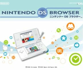 Sitio web de Nintendo DS Browser