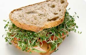 Sandwich de Dieta